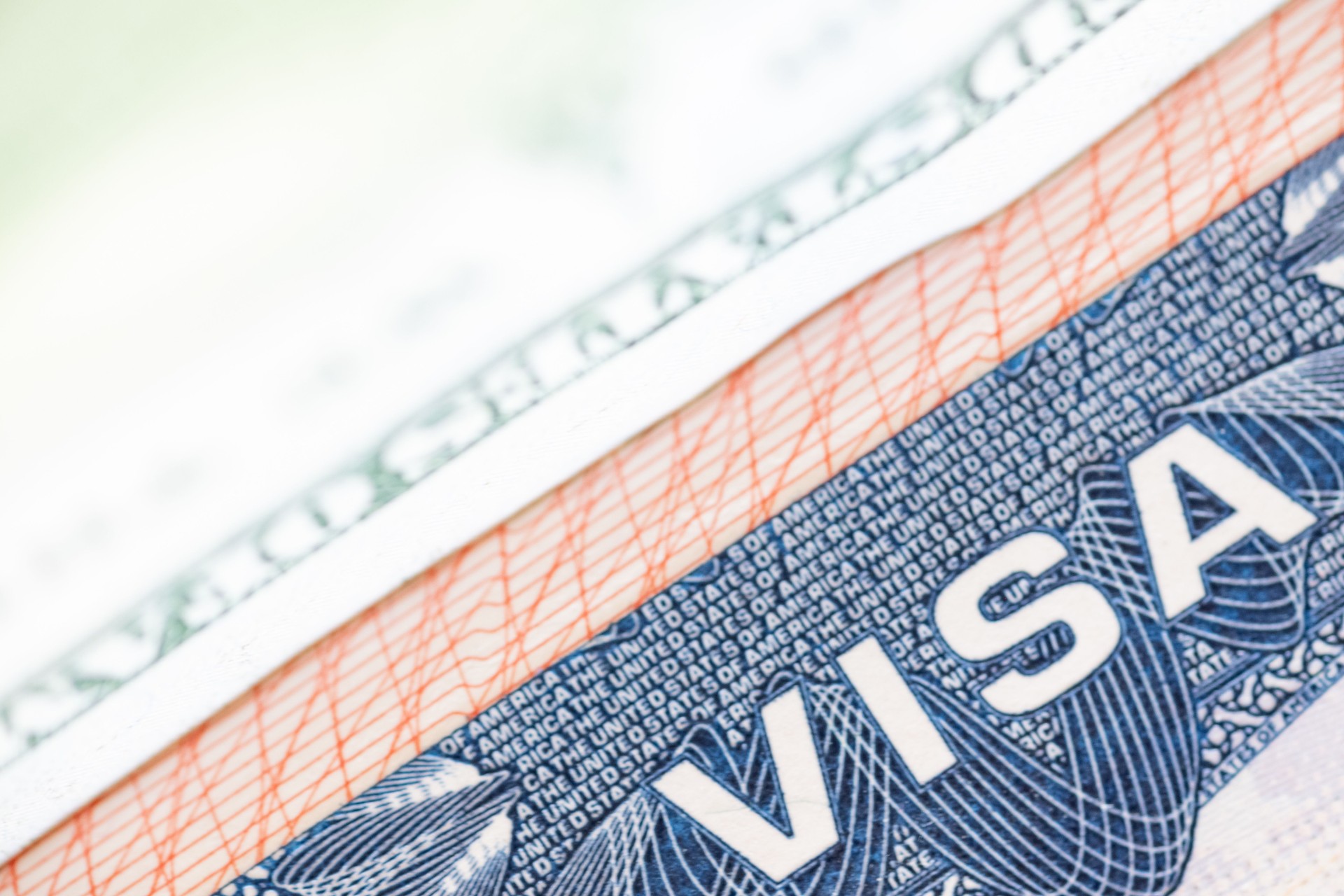 US passport visa and paper US dollars. Macro shot.